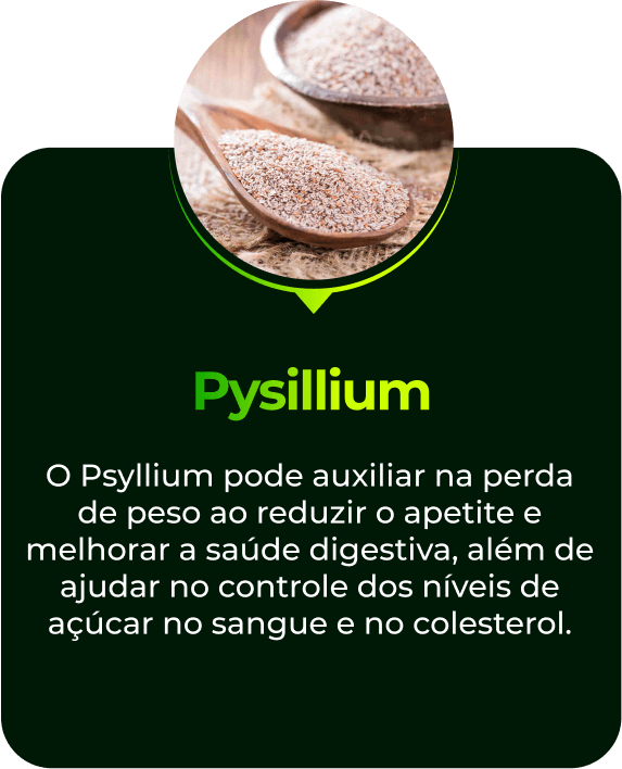 Pysillium-1